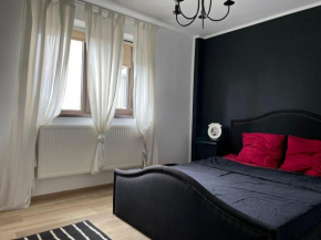 2 rooms apartment Airy & Bright City Center, Iasi